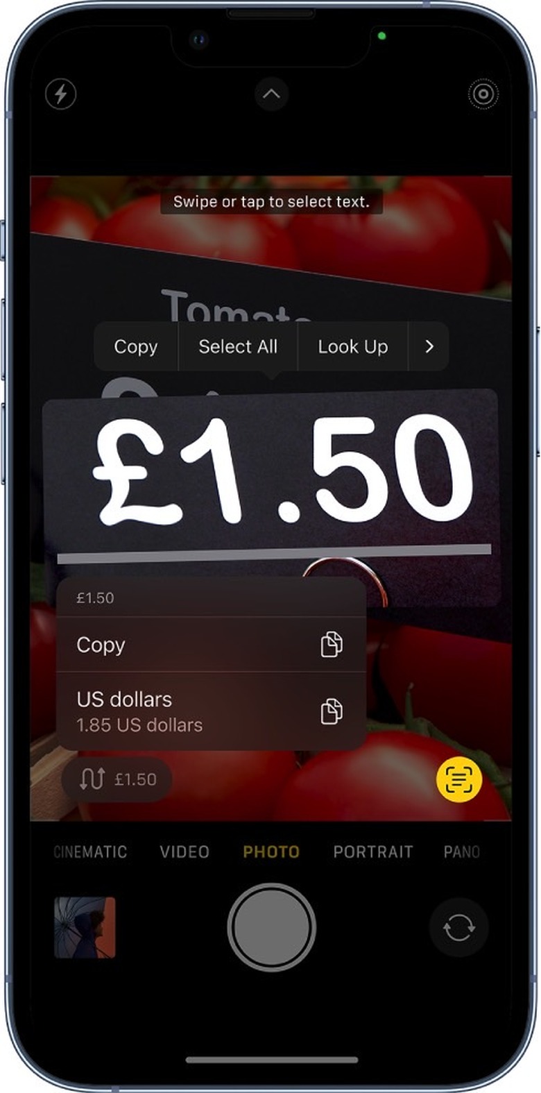 Using Live Text in the Camera app.