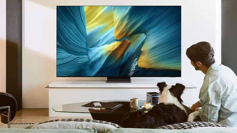 A man and his dog in a living room with a Samsung S95F TV in front of them