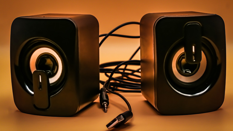 A pair of PC speakers