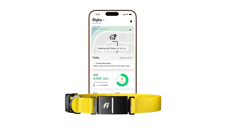 Fi Smart Dog Collar next to the smartphone showing the GPS application