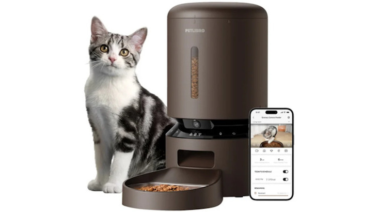 Petlibro automatic feeder full of kibble next to a cat and the smartphone application