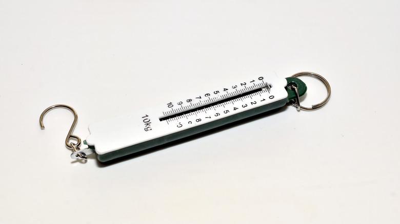 A small handheld spring scale, sometimes called a Newton meter or hanging scale, used to measure force or weight by how far an internal spring stretches.