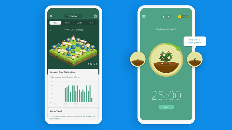 Forest app showing focused time chart along with virtual planted trees.