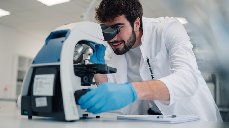 A scientist in a white lab coat and blue gloves looking through a microscope in a bright laboratory.