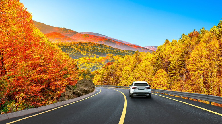 A car driving down an autumnal road through a mountainous region