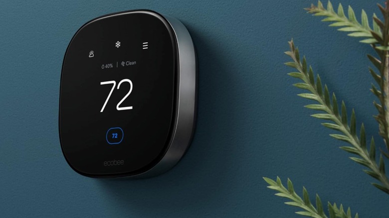 Ecobee Smart Premium Thermostat on a blue wall with a plant nearby