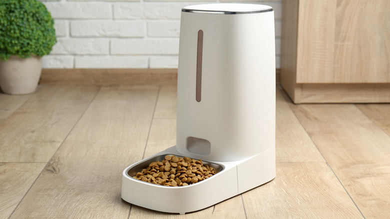 automatic pet feeder