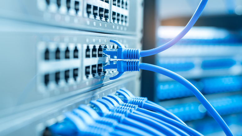 A network switch with numerous Ethernet cables attached.