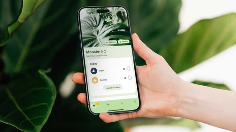 The Planta app on an iPhone