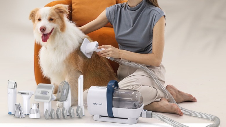 A woman using the Oneisall LM2 grooming vacuum on a dog.