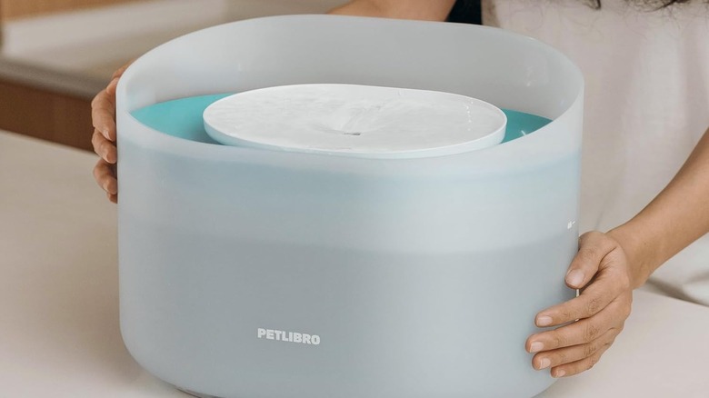 A person holding the Petlibro Capsule Dog Fountain.