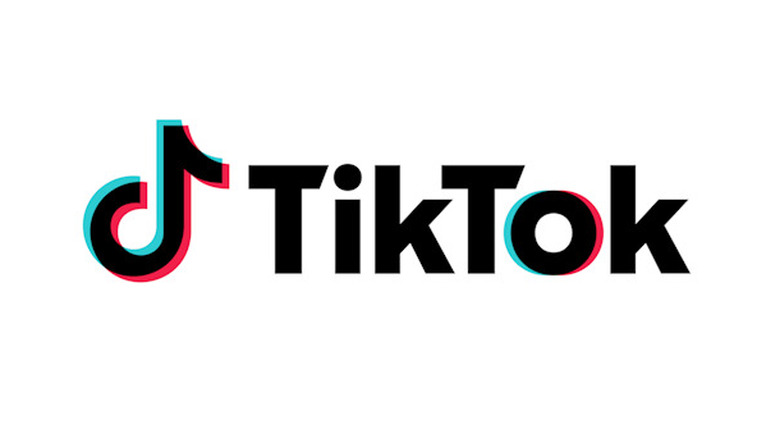 TikTok logo and brand name in 3D colors