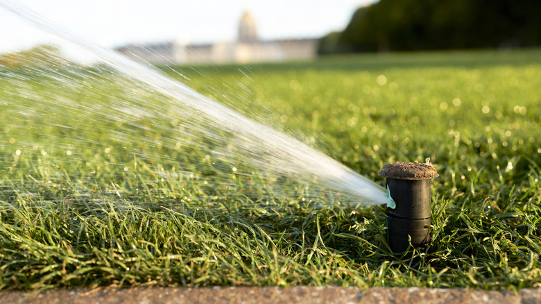 Nozzle of an irrigation system