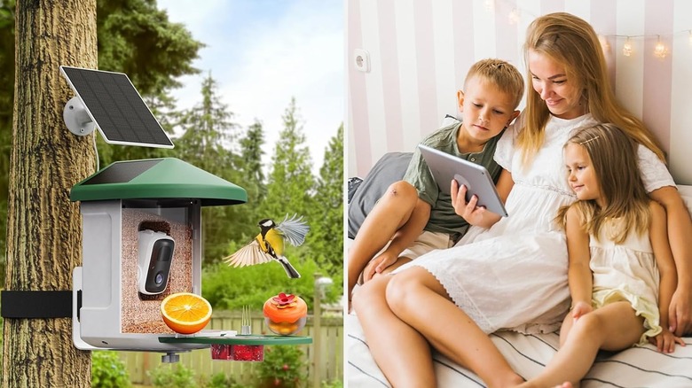 Family watches bird feeder updates on tablet