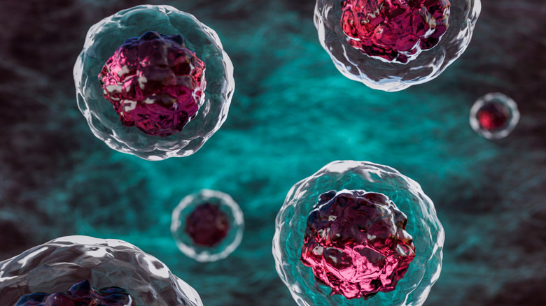 Human cells floating through veins