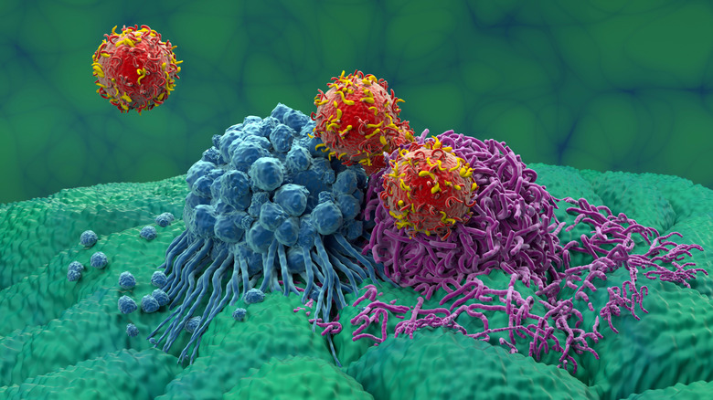 Drug molecules treating cancer cells