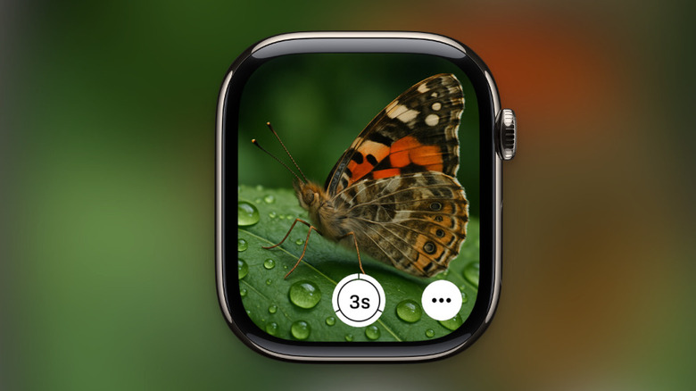 Apple Watch being used as remote iPhone camera viewfinder and remote.