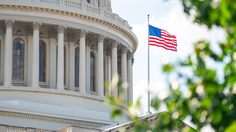 Capital Building with US flag, a tree is blurred in the foreground
