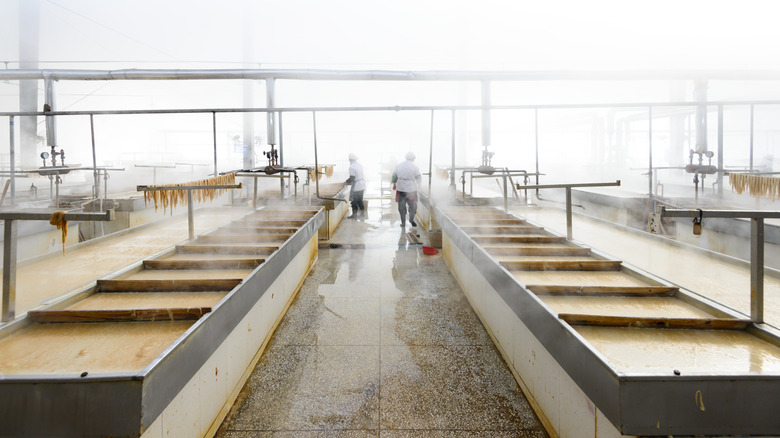 Production process of tofu