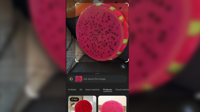 Screenshot of Google lens correctly identifying the image of a cushion