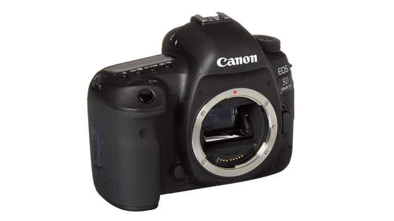 A Canon EOS 5D Mark IV (body only).