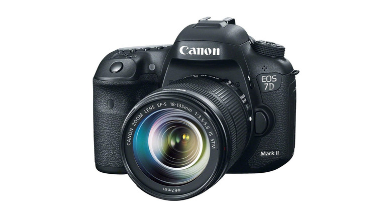 A Canon EOS 7D Mark II with an 18-135mm lens