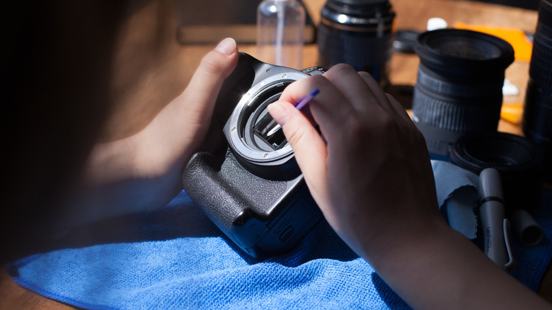 A person cleaning the image sensor inside a mirrorless camera body with a precision swab, surrounded by camera lenses and maintenance tools on a microfiber-covered work surface.