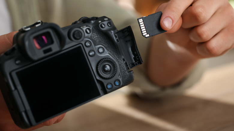 Close-up of a person inserting an SD memory card into the card slot of a digital camera, with the camera's rear display and controls visible in the foreground.