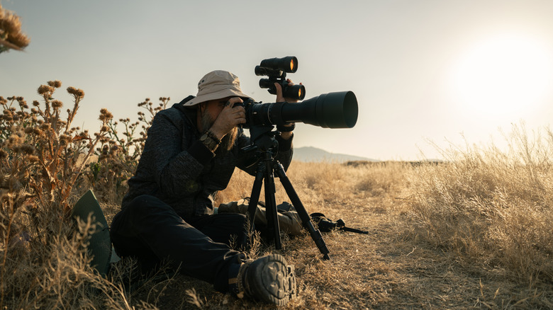 A wildlife photographer seated in a dry grassy field at sunset, looking through a camera with a large telephoto lens mounted on a tripod and surrounded by natural vegetation.