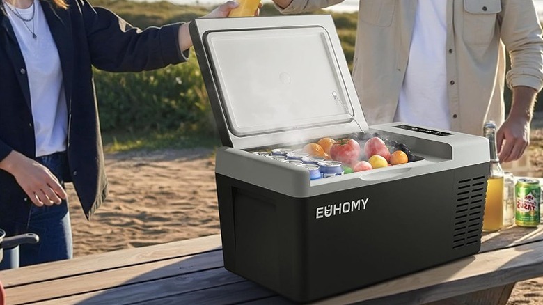Portable refrigerator containing fruits and soda cans