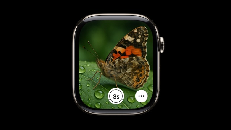 The Camera Remote app on the Apple Watch.