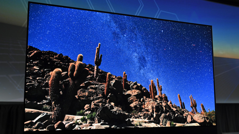 An OLED television featuring an image of desert cacti against a starry blue night sky