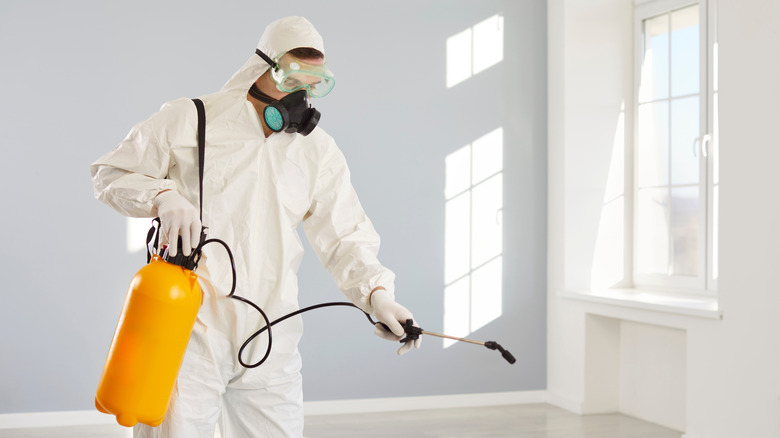 Man spraying chemicals in home to reduce radon gas