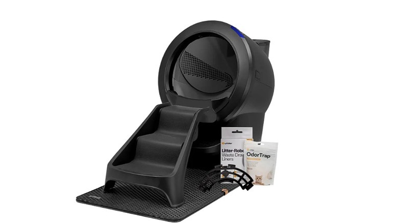 Black cat litter box