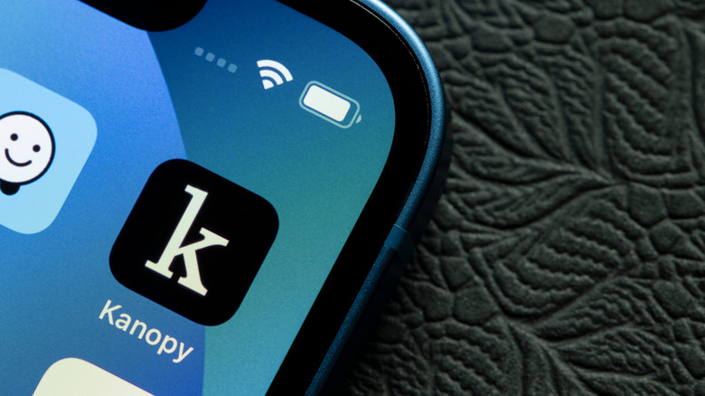 The Kanopy app on an iPhone
