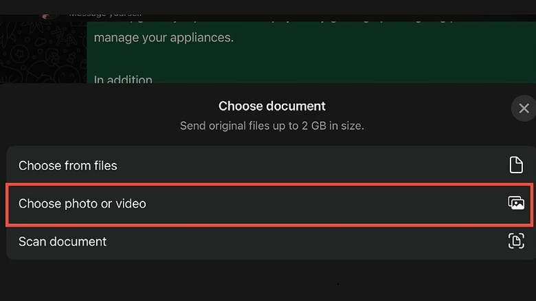 Choose photo or video option highlighted in the Document menu