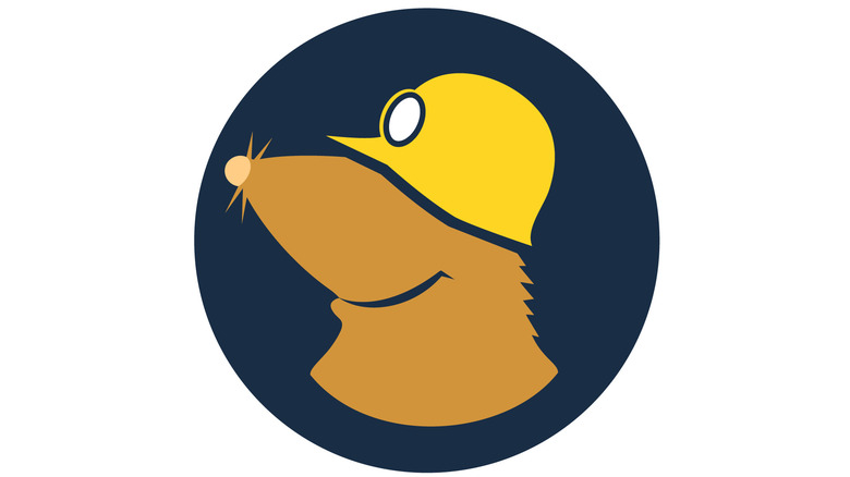 The Mullvad logo on a white background