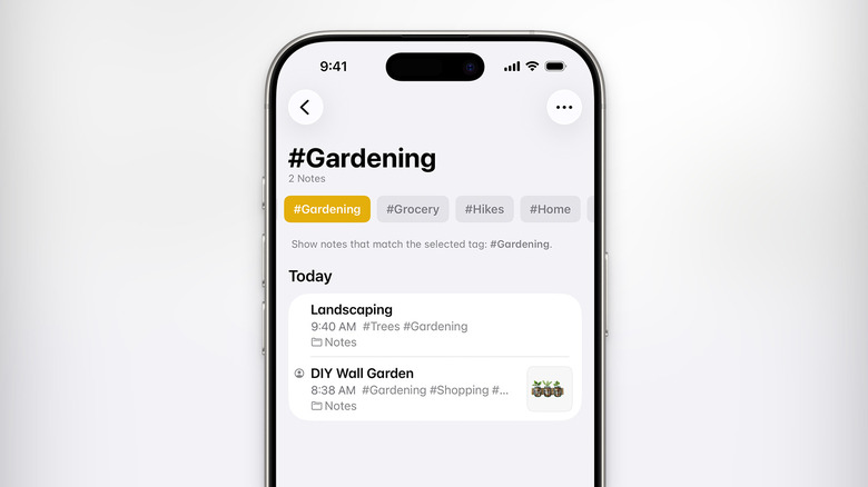 Sorting notes using tags in Apple Notes.