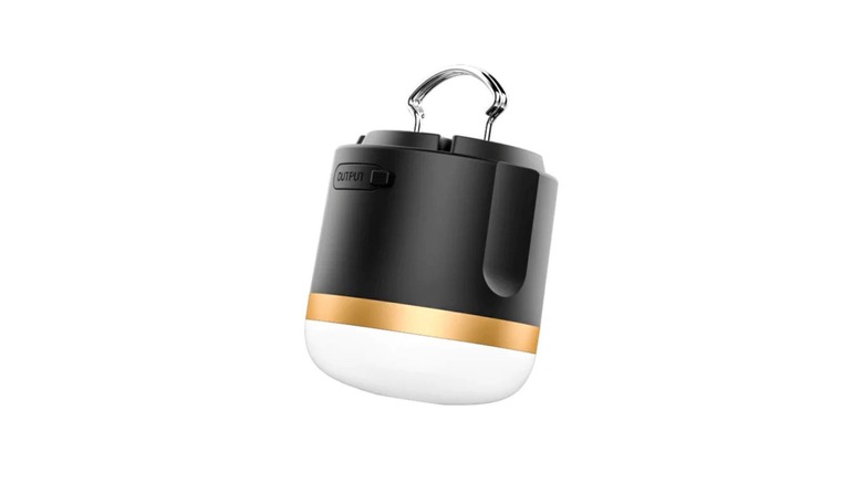 The Ecoflow compact camping light on white background