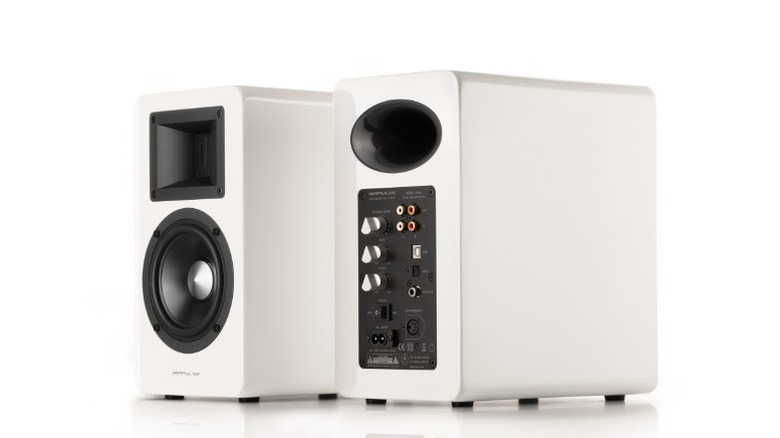 Two white speakers, one front facing and second facing backward