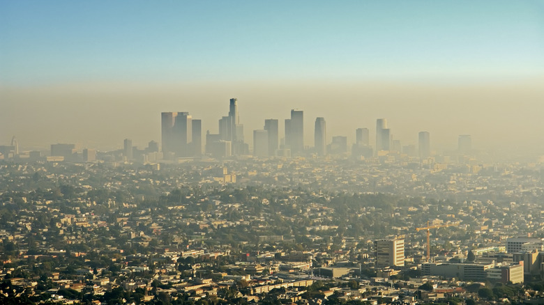 A city in the distance is hazy with smog.