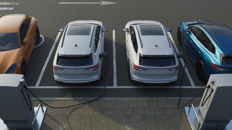 Four EVs lined up at a charging station.