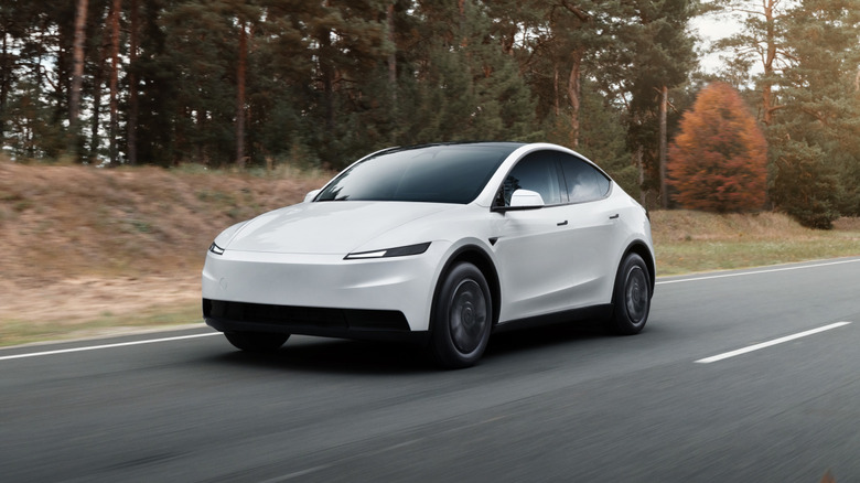 The Tesla Model Y