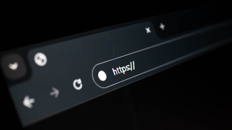 Close-up of a web browser's address bar