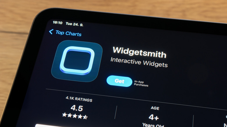 Widgetsmit app in the App Store on an iPad