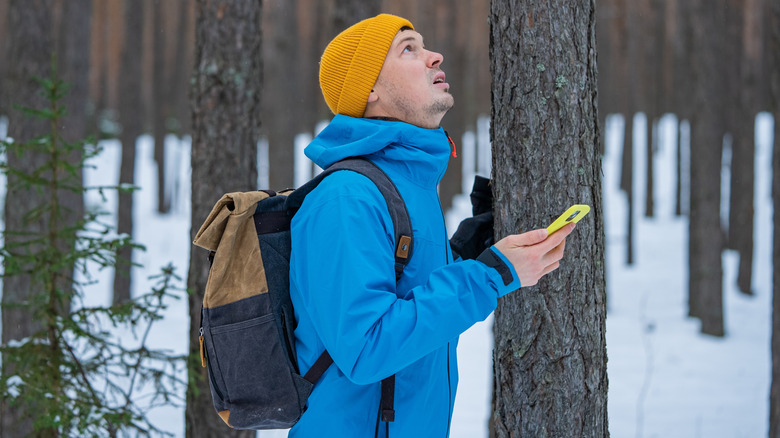 A man lost in the forest with a phone in his hand