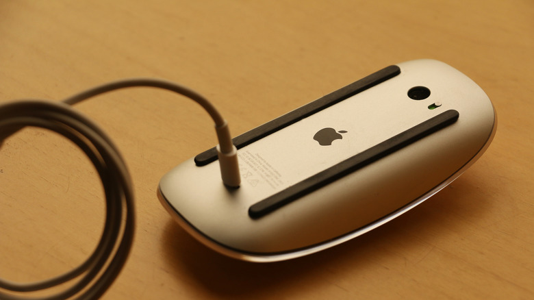 Apple Magic Mouse 2 in charging mode using lightning connector cable