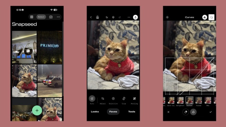 A collection of screenshots of the photo editing app Snapseed. The screenshots show the home page, the image editor, and curve editor