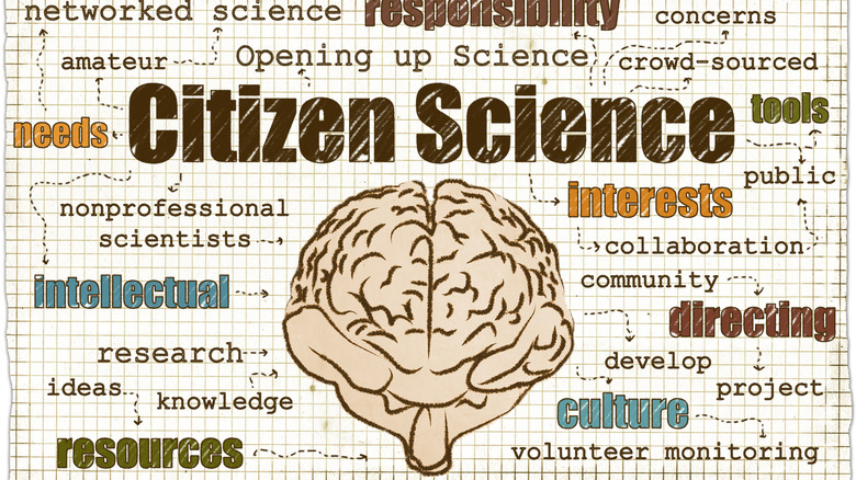 illustration of a brain surrounded by words related to science, with phrase Citizen Science largest