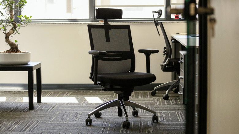 A black office swivel chair by a desk and bonsai.